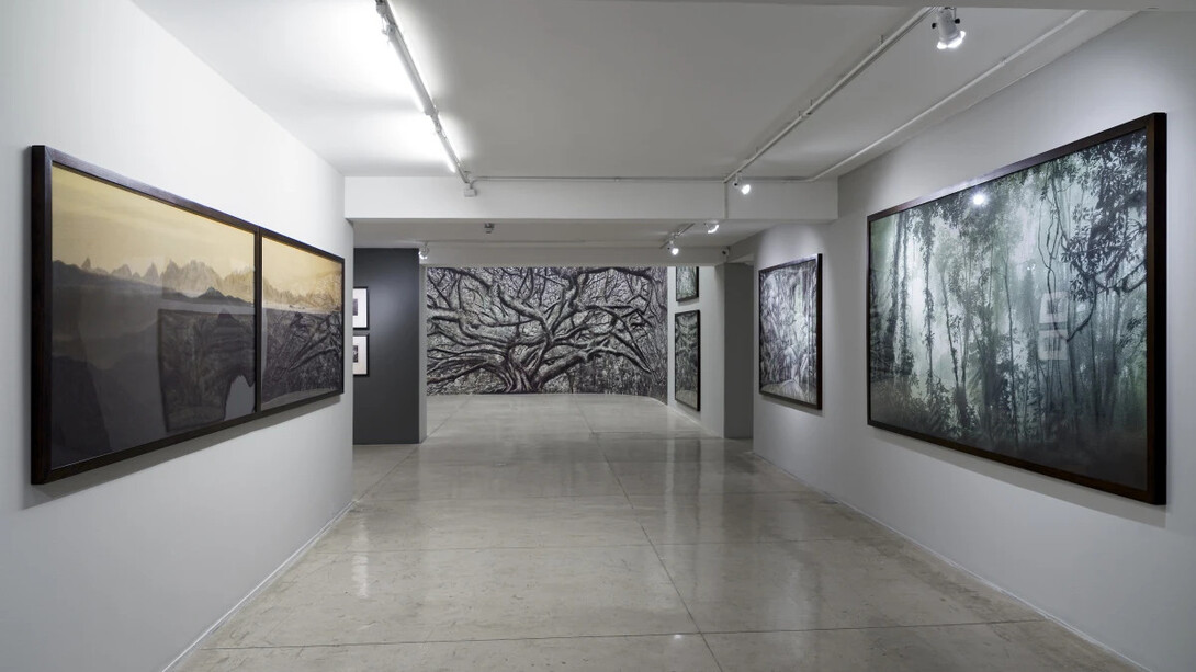 Cássio Vasconcellos, A picturesque voyage through Brazil, exhibition view. Courtesy of Nara Roesler Gallery