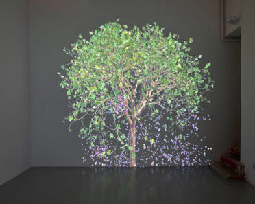 Jennifer Steinkamp. Courtesy of The Portland Art Museum