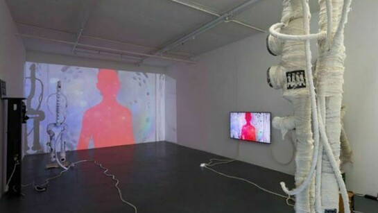 Installation view, Renaud Jerez, Greed