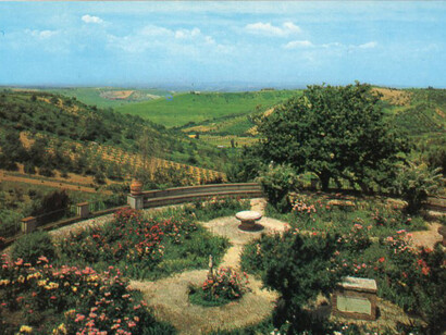 Villa Zeri, il roseto