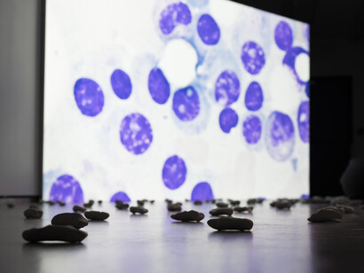 Femke Herregraven, The murmur of the dying. Courtesy of Kunstraum Niederösterreich