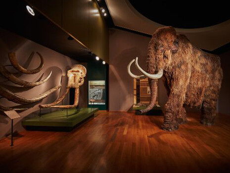 Mammoth & Sabre-Toothed Tiger. Courtesy of Naturhistorisches Museum Basel