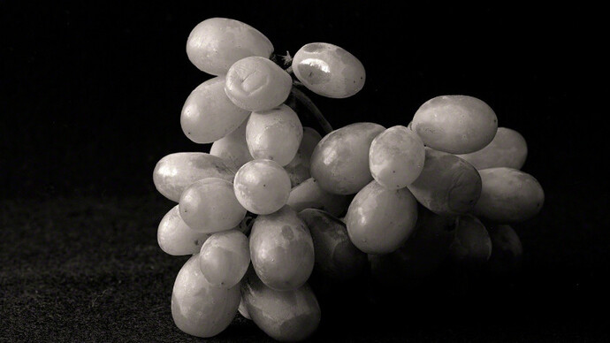 Betsy Crowell. Courtesy of John Davis Gallery