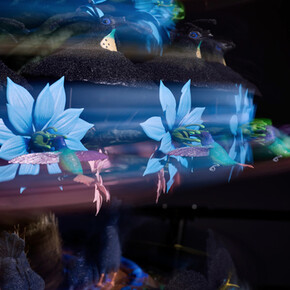 Mat Collishaw. Courtesy of Blain|Southern