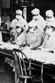 The 1918 flu
