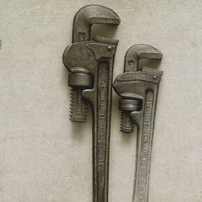 Alan Magee, Natural History, 1997, acrylic and oil on panel, 16 x 22 inches