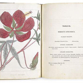 Illustrated Books. Courtesy of Amon Carter Museum of American Art