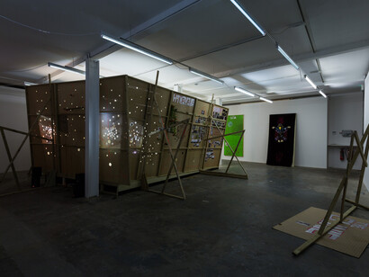 Stephen G. Rhodes, The Eleventh Hobby, 2014, Installation view, courtesy Vilma Gold, London