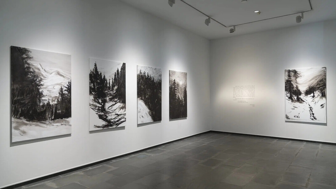 M. Ángeles Díaz Barbado, Tristán, exhibition view. Courtesy of Isabel Hurley Gallery