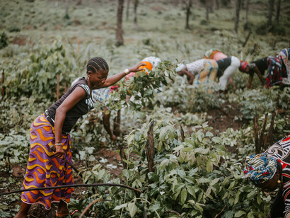 Le donne africane costituiscono il 70% della forza agricola
