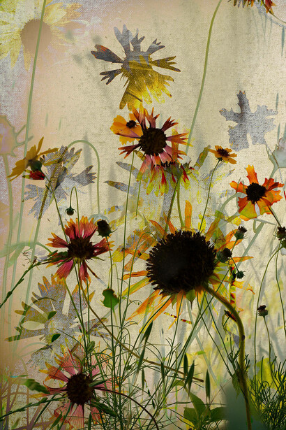 Elizabeth Chiles, Stardust dialogues, no. 04, 2024. Courtesy of Koslov Larsen