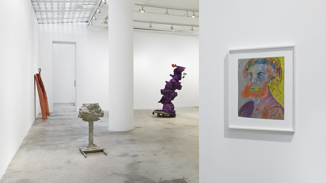 Rachel Harrison, The Friedmann equations, exhibition view. Courtesy of Greene Naftali Gallery
