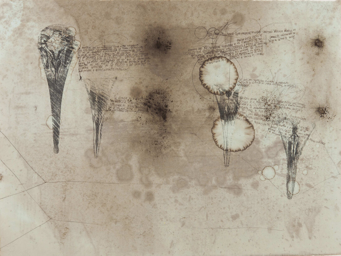 Courtesy Ricardo Brey & Galerie Nathalie Obadia Paris / Brussels © We Document Art