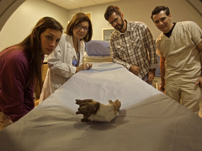 Bioespeleotema en el tomógrafo; de izquierda a derecha: Karen, Dra. Ivonne Rodriguez Potellá, Dr. Sergio Blanco y Dr. Ramón Franco