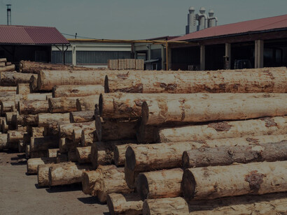 The environmental impact of industrial sawmills demands an exploration of alternative, sustainable wood processing methods that minimize deforestation and promote responsible forest management.