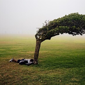NGV Festival of Photography. Courtesy of NGV