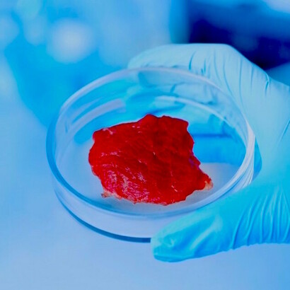 La carne de laboratorio podría solucionar la crisis alimentaria que se avecina