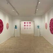 Maja Arte Contemporanea