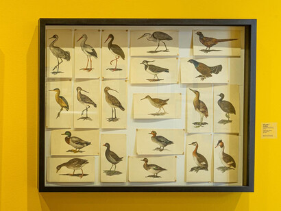 Ján Švec, Like real, exhibition view. Courtesy of Danubiana
