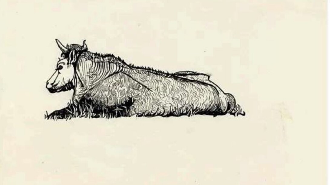 Sylvia Plath, disegno a penna su carta colorata, esposto per la prima volta alla mostra "Sylvia Plath" alla Mayor Gallery di Londra del 2011