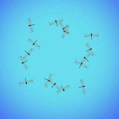 Agnieszka Polska. Courtesy of Frye Art Museum