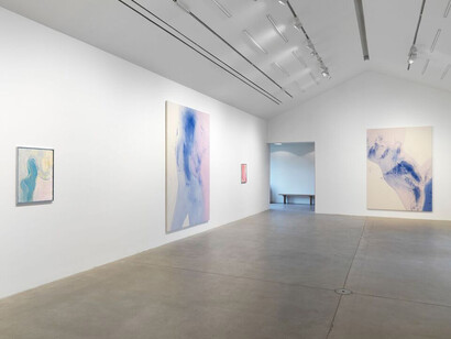 Rita Ackermann, Exhibition view. Courtesy of Hauser & Wirth