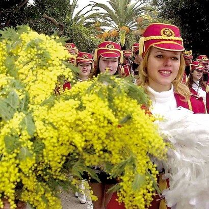 Este ano vai ser a 48ª edição do Festival da Mimosa em Herceg-Novi: começa dia 28 de janeiro e acaba no 17 de fevereiro