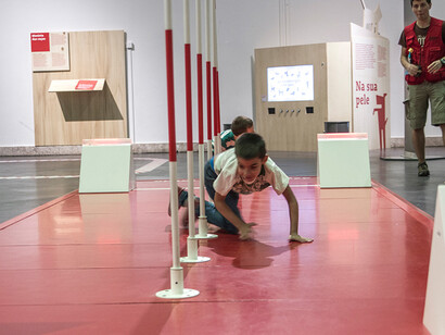 Cats and Dogs. Courtesy of Pavilhão do Conhecimento | Centro Ciência Viva