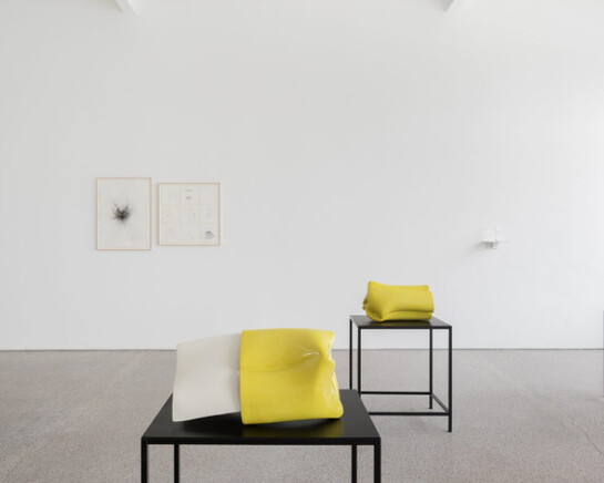 Joe Zorrilla. Courtesy of Galerie Greta Meert