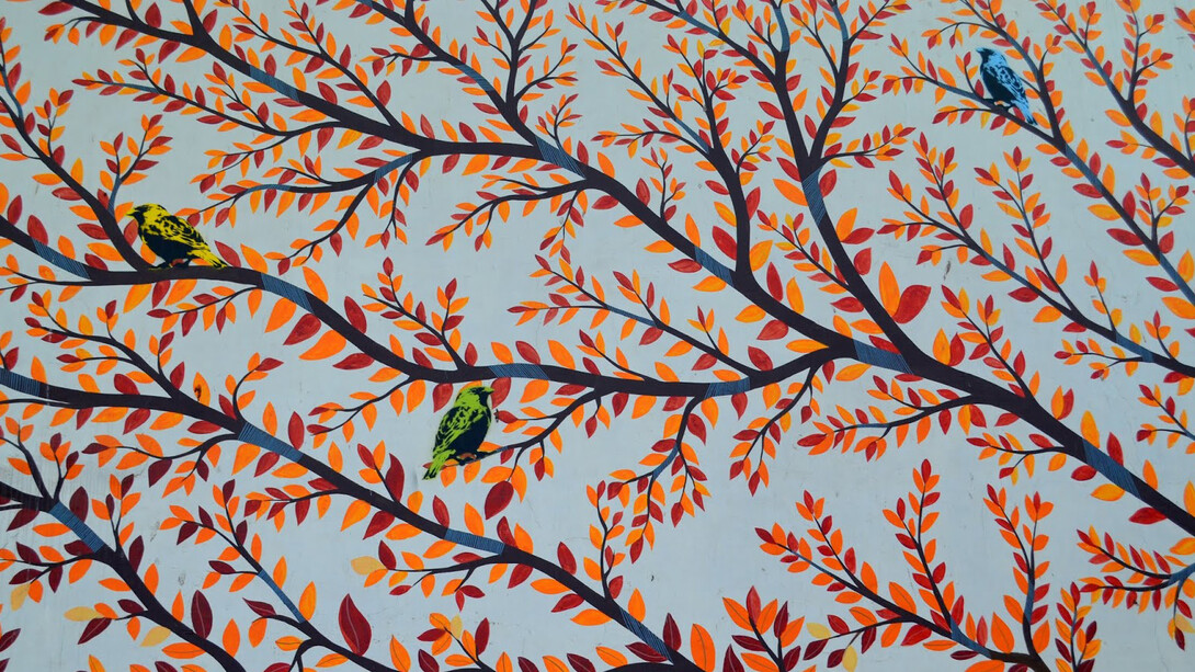 Lodhi Art District