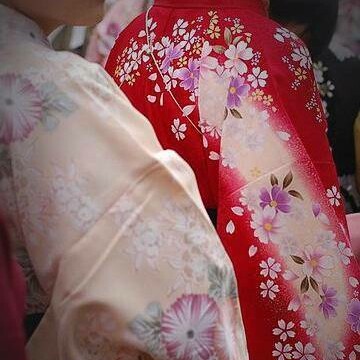 Particolare di kimono: "La perfezione, l’esattezza delle proporzioni, i colori vividi e intensi, sono caratteristiche del miyabi"