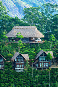 Front exterior view of Ella Resort
