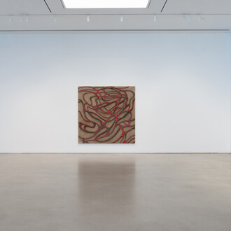 Ross Bleckner, Octopus, exhibition view. Courtesy of Petzel Gallery