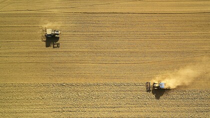 Gene editing with CRISPR-Cas9 used to improve the production of crops