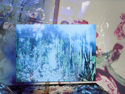 Maya Rochat, Z Online Show, 2017