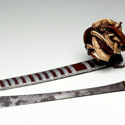 Asian galleries. Courtesy of Art Gallery of NSW