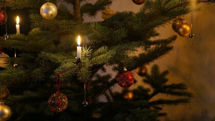 La decorazione dell’albero di Natale varia tra palle di vetro soffiato, caramelle, marzapane, neve finta 