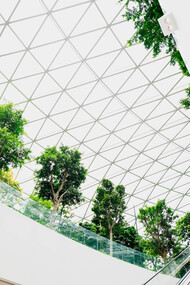The lush greenery within the glass dome of the building illustrates the concept of regenerative design, where buildings create and renew their own resources