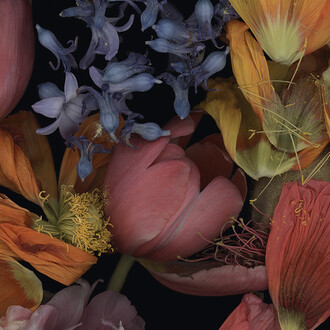 Luzia Simons, Stockage 198, 2022. Courtesy Galerija Fotografija