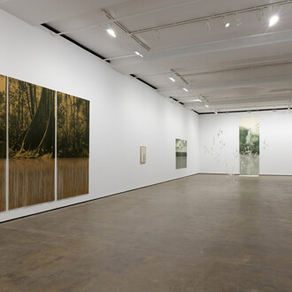 Ana González, Río, exhibition view. Courtesy of Sean Kelly Gallery