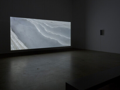 Amie Siegel. Courtesy of Blaffer Art Museum