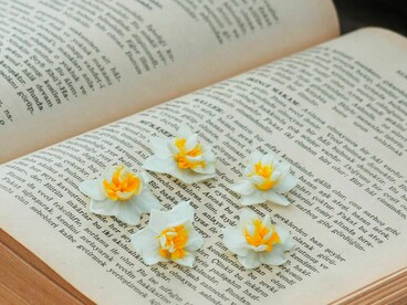 Although Olga initially wrote a sad poem about growing old, her creative journey profoundly altered her life