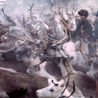Northern Ways. Courtesy of Arktikum