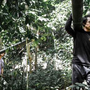 Experience Thailand. Courtesy of Weltmuseum Wien