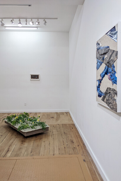 Contaminated Landscape, Installation View, Courtesy Marc Straus 