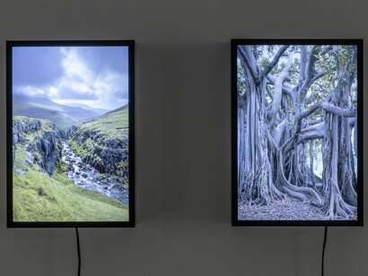 Alexei Gordin, This land is your land, exhibition view. Courtesy of Tallinn City Gallery
