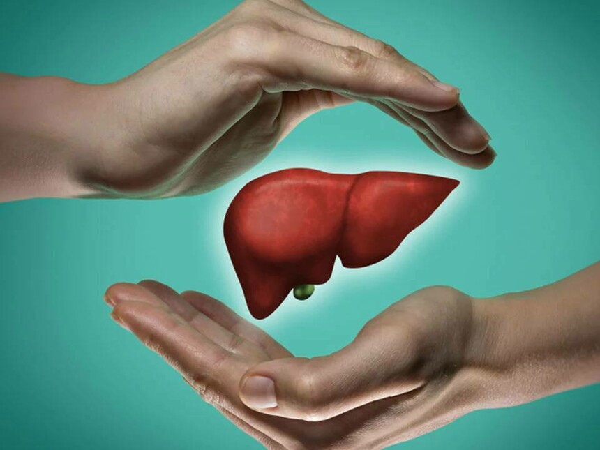 Liver Actually Heal Itself
