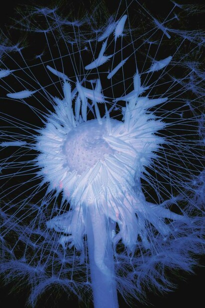 Yoishiro Nishimura, Pissenlit. Scangramme, impression jet d'encre, 210×297 mm. Tirage limité à 30. Minnano Gallery, Tokyo.