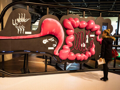 Microbiote. Courtesy of Cité des Sciences et de l'Industrie