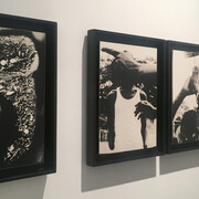 Nah ist das Land, das sie das Leben nennen. Courtesy of Galerie Peter Sillem